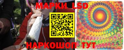 МДПВ Тара