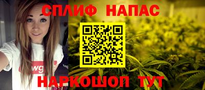 МДПВ Тара