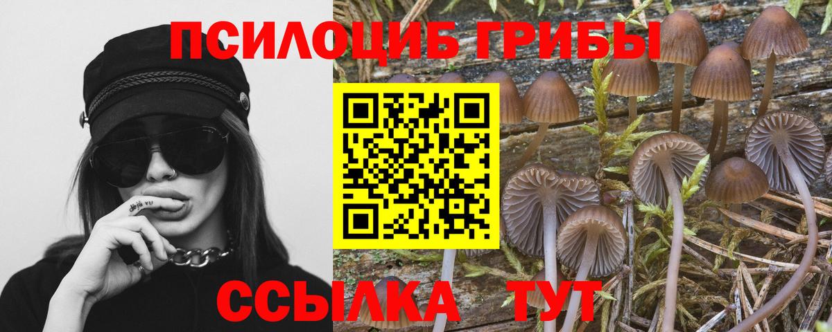 Галлюциногенные грибы мицелий  Вход с VPN  Ярославль 